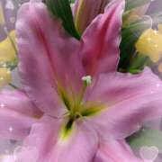 ヒメ日記 2026/01/31 15:22 投稿 こりん 熟女の風俗最終章　越谷店