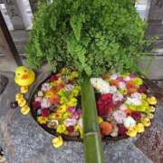 ヒメ日記 2026/01/04 08:54 投稿 こりん 熟女の風俗最終章 西川口店