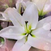 ヒメ日記 2026/01/31 18:22 投稿 こりん 熟女の風俗最終章 西川口店