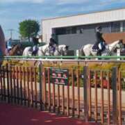 ヒメ日記 2026/04/20 08:01 投稿 こりん 熟女の風俗最終章 西川口店