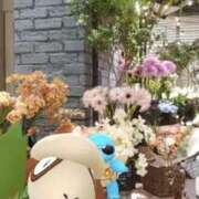 ヒメ日記 2026/08/13 11:40 投稿 こりん 熟女の風俗最終章 西川口店