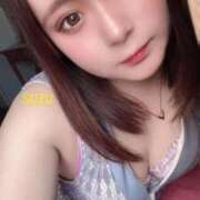 ヒメ日記 2025/11/24 15:20 投稿 鈴 石庭