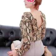 ヒメ日記 2025/12/16 11:39 投稿 天海小雪 五十路マダム 沼津店(カサブランカグループ)