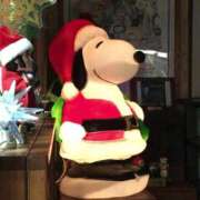 ヒメ日記 2025/12/21 13:47 投稿 天海小雪 五十路マダム 沼津店(カサブランカグループ)