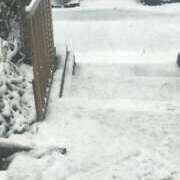 ヒメ日記 2025/12/31 12:17 投稿 天海小雪 五十路マダム 沼津店(カサブランカグループ)