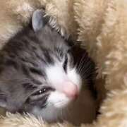 もえか ❤️大感謝❤️ 女の子がセルフで撮影する店！！成田デリヘル『生パネル』伝説