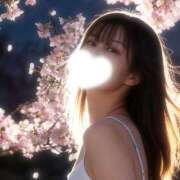 ヒメ日記 2026/04/01 23:59 投稿 美雪 シャトーペトラ