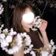 ヒメ日記 2026/04/11 08:30 投稿 美雪 シャトーペトラ