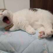 ヒメ日記 2025/12/20 13:24 投稿 井上 みか ベストマダム