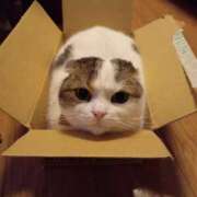 ヒメ日記 2025/12/20 14:11 投稿 井上 みか ベストマダム