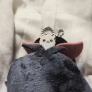 りーりや ハム蔵 香川サンキュー