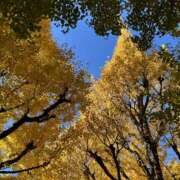 ヒメ日記 2025/11/26 20:25 投稿 めぐ 品川ミセスアロマ（ユメオト）