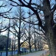 ヒメ日記 2026/01/08 10:33 投稿 めぐ 品川ミセスアロマ（ユメオト）