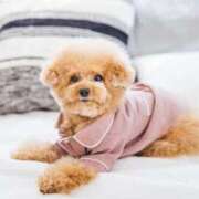 ヒメ日記 2025/11/17 12:57 投稿 つばき ぷるるん小町 京橋店