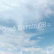 ヒメ日記 2026/01/12 10:10 投稿 つばき ぷるるん小町 京橋店