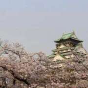 ヒメ日記 2026/03/10 14:15 投稿 つばき ぷるるん小町 京橋店