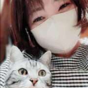 ヒメ日記 2025/11/11 23:55 投稿 ちか 茨城水戸ちゃんこ