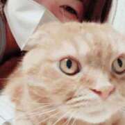 ヒメ日記 2025/11/20 18:55 投稿 ちか 茨城水戸ちゃんこ