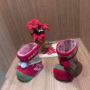 ヒメ日記 2025/11/21 00:45 投稿 ちか 茨城水戸ちゃんこ