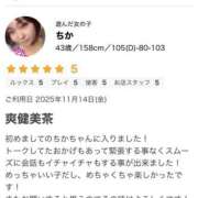 ヒメ日記 2025/11/22 10:45 投稿 ちか 茨城水戸ちゃんこ