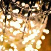 ヒメ日記 2025/12/15 17:05 投稿 ちか 茨城水戸ちゃんこ