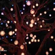 ヒメ日記 2025/12/20 10:35 投稿 ちか 茨城水戸ちゃんこ