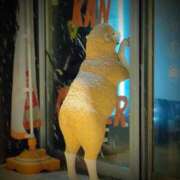 ヒメ日記 2026/02/10 22:45 投稿 ちか 茨城水戸ちゃんこ