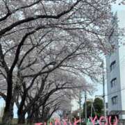 ヒメ日記 2026/04/05 10:15 投稿 ちか 茨城水戸ちゃんこ