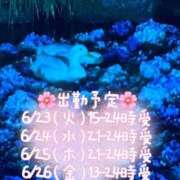 ヒメ日記 2026/06/21 15:04 投稿 ちか 茨城水戸ちゃんこ