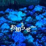 ちか お知らせ🌸 茨城水戸ちゃんこ
