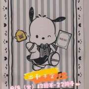 ヒメ日記 2026/09/06 21:05 投稿 ちか 茨城水戸ちゃんこ