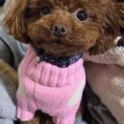 ヒメ日記 2025/12/09 08:21 投稿 あいさ 京橋熟女