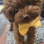 ヒメ日記 2026/01/03 08:42 投稿 あいさ 京橋熟女