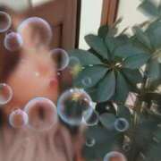 ヒメ日記 2025/11/10 07:56 投稿 藤本ゆか セカンドパートナー