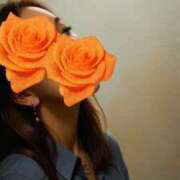 ヒメ日記 2025/11/16 14:35 投稿 藤本ゆか セカンドパートナー