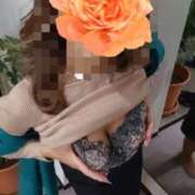 ヒメ日記 2025/12/02 09:45 投稿 藤本ゆか セカンドパートナー