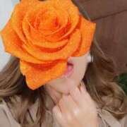 ヒメ日記 2025/12/16 16:20 投稿 藤本ゆか セカンドパートナー