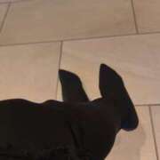 ヒメ日記 2026/01/30 17:00 投稿 藤本ゆか セカンドパートナー