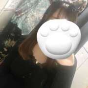 いちご ネコちゃん🐱 さくらん