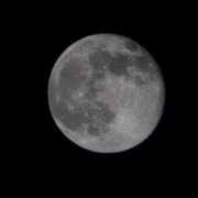 ヒメ日記 2025/11/07 14:56 投稿 みどの 千葉松戸ちゃんこ