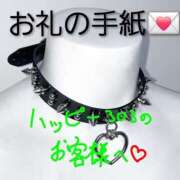 ヒメ日記 2025/11/10 14:26 投稿 みどの 千葉松戸ちゃんこ