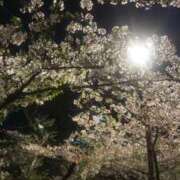 ヒメ日記 2026/04/08 23:21 投稿 ゆのん ピンクコレクション大阪