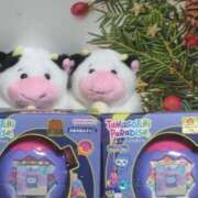 ヒメ日記 2025/12/13 21:32 投稿 まい AZURE（アジュール）