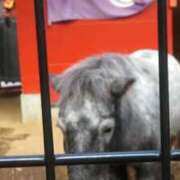 ヒメ日記 2025/12/27 09:22 投稿 まい AZURE（アジュール）