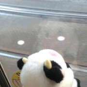 まい 【ぬい活】はじめての都電🚉 AZURE（アジュール）