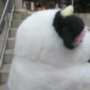 ヒメ日記 2026/01/22 12:35 投稿 まい AZURE（アジュール）