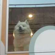 ヒメ日記 2026/02/21 15:02 投稿 まい AZURE（アジュール）