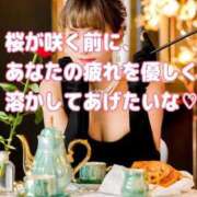 ヒメ日記 2026/03/14 09:42 投稿 まい AZURE（アジュール）