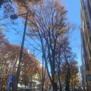 ヒメ日記 2025/12/23 11:07 投稿 目黒 華恋人(カレント)