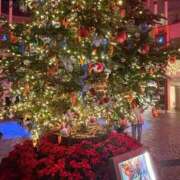 ヒメ日記 2025/12/02 18:28 投稿 ゆの 全裸の女神orいたずら痴漢電車